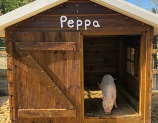 Peppa Big op de boerderij in Arouca