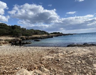 Parco naturale di Porto Selvaggio