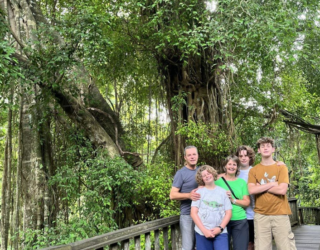 Heilige aapjes in Monkey Forest