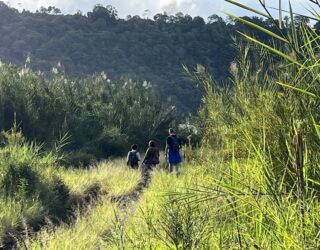 Trekking in het groen