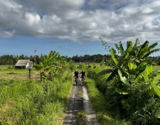 Fietsen vader kind in Mengwi