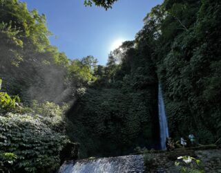 Waterval regenwoud