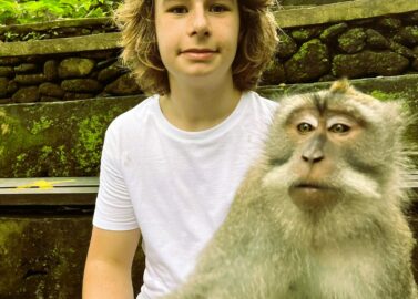 Heilige aapjes in Monkey Forest