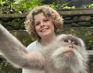 Aap met kind Monkey Forest