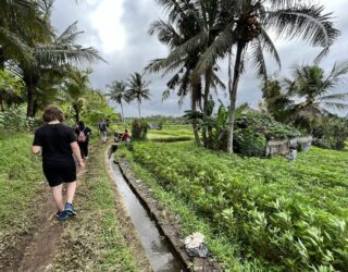 Wandelen Mengwi