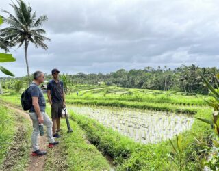 Trekking Mengwi