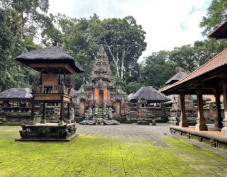 Heilige aapjes in Monkey Forest