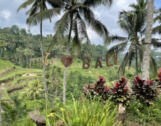 Schommelen met kinderen in Ubud