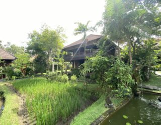 Hotel met kinderen in Ubud