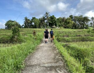 Wandelen tussen de rijstvelden Mengwi