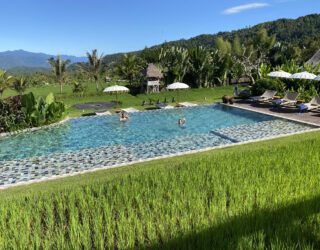 zwembad tussen de rijstvelden Munduk