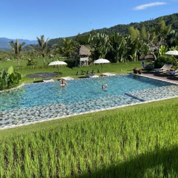 zwembad tussen de rijstvelden Munduk