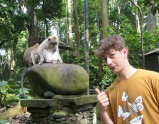 Heilige aapjes in Monkey Forest