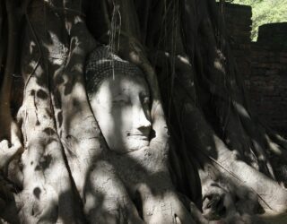 Ayutthaya boom