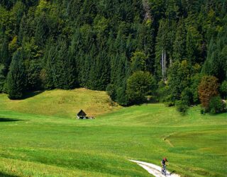 Biking in bossen van Bled