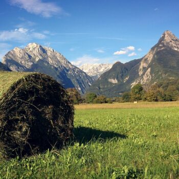 Bovec