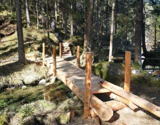 Wandelen met kinderen in het bos van Slovenië