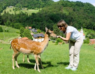 Hertenboerderij Slovenië