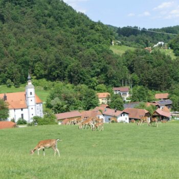 Herten in Slovenië