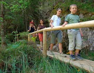 Hiken door bossen en alpenweiden