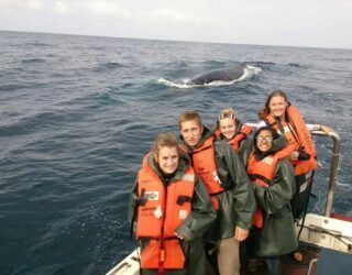 Walvis spotten van dichtbij met kinderen