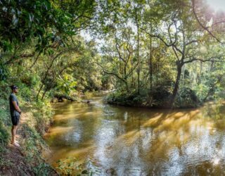 Prachtig zicht op de Sabie rivier