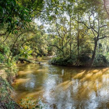 Prachtig zicht op de Sabie rivier