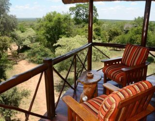 Terras boomhut with a view