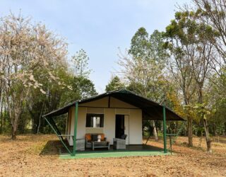 Glamping in het groen in Loei