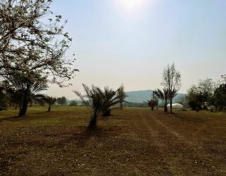 Boerderij with a view