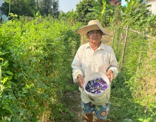 Boerin aan het werk bij Sukhothai