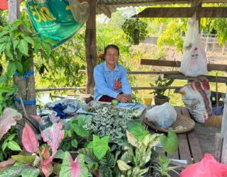 Lokale verkoper van sticky rice in Sukhothai