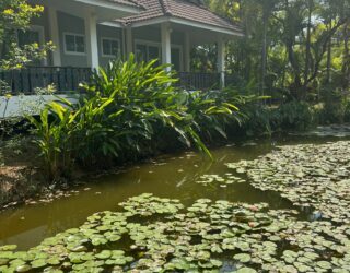 Hotel in Sukhothai