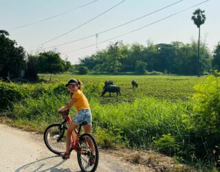 Fietsen met kinderen rond Sukhothai