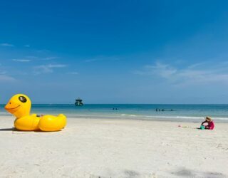 Eendje op het strand in Koh Samet