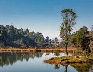 Paardrijden in het prachtige Swaziland