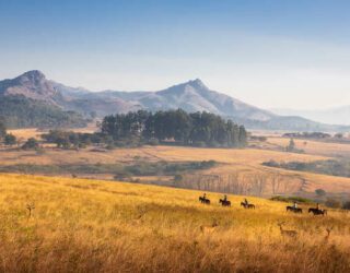 Paardrijden in het schone Swaziland