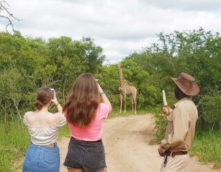 Giraffen spotten met tieners in Zuid-Afrika