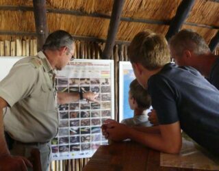 Kids ranger cursus in Zuid-Afrika