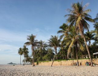 Palmbomen op het strand van Hua Hin