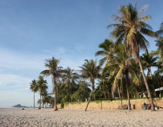 Palmbomen op het strand van Hua Hin 