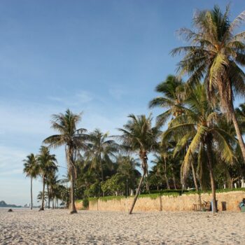 Palmbomen op het strand van Hua Hin 