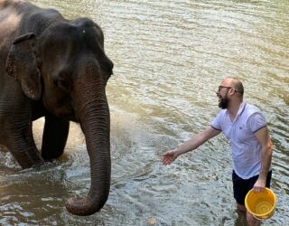 Olifanten wassen in Chiang Mai