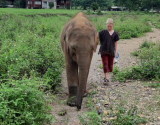 Kind op wandel met olifant in Chiang Mai