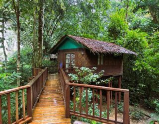 Boomhut in de jungle van Khao Sok