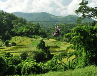 Ziplinen in de jungle van Chiang Mai