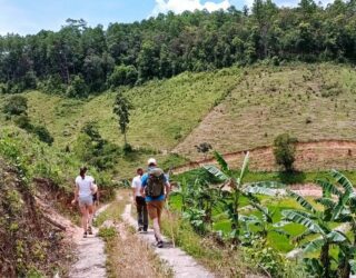 Stappen met kinderen in Mae Wang National Park