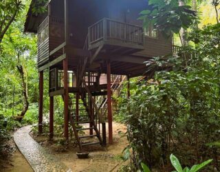 Boomhut in de jungle van Khao Sok