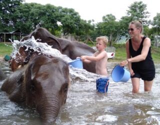 Kind wast olifanten in Chiang Mai