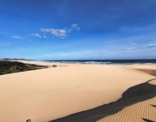 Pittoreske strand van Oyster Bay